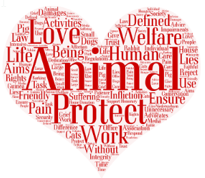 https://pixabay.com/de/illustrations/wortwolke-spende-tierschutz-hilfe-2696611/